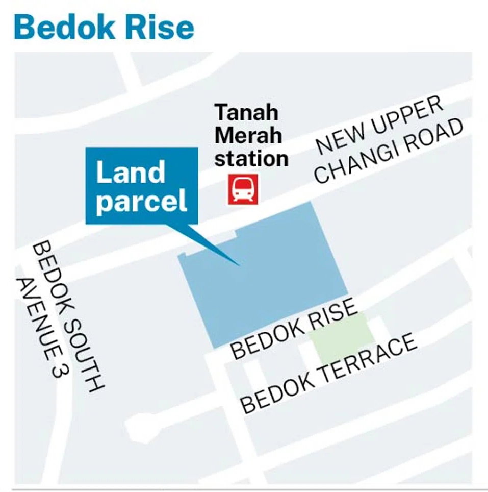 Bedok Rise GLS